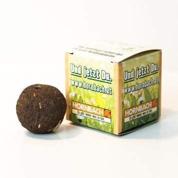Seed Bomb in Packaging Cube